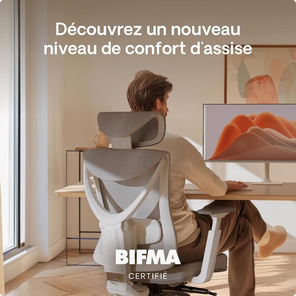 Desktronic Chaise de Bureau Ergonomique réglable avec Support Lombaire - Aucune Douleur au Dos - D'ordinateur réglable en Hauteur et protégeant Le Dos - Gris