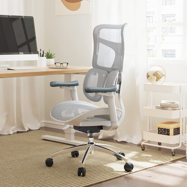 SIHOO Doro S100 Chaise de Bureau Ergonomique - avec Un Soutien Lombaire Dynamique Double, Dossier réglable sur 5 Niveaux, accoudoirs coordonnés en 4D, Angle d'inclinaison Maximal de 135 degrés, Blanc