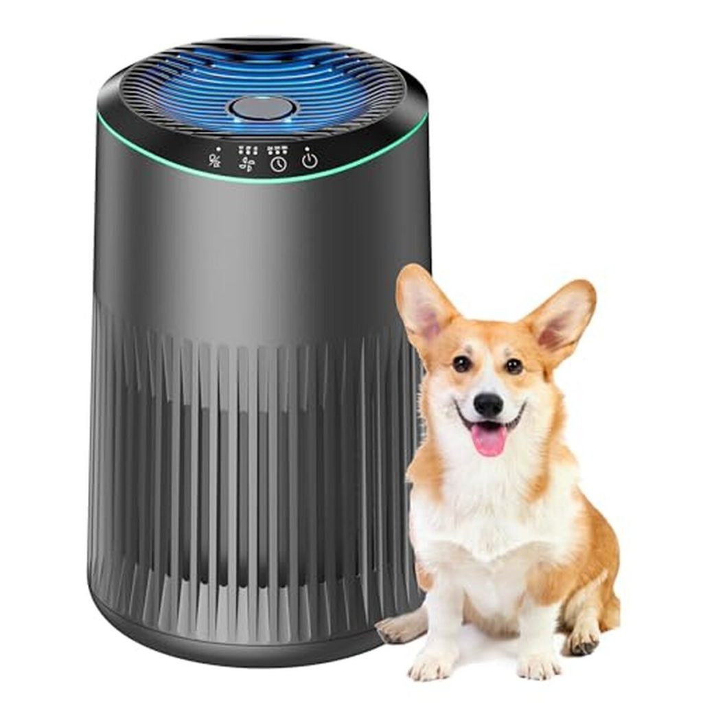 Test du purificateur d'air Meronte : efficacité et polyvalence pour votre maison