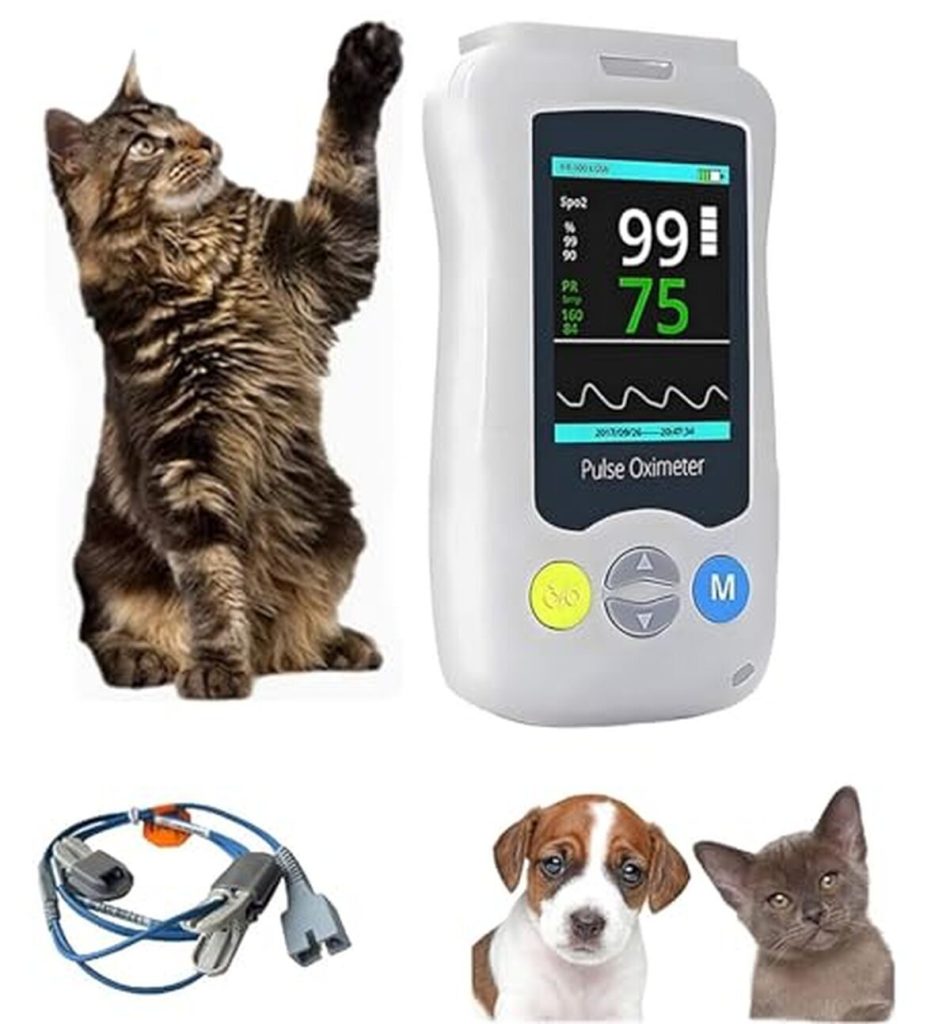 Test : oxymètre portable BLUEZY pour animaux